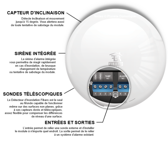 Présentation du FGFS-101