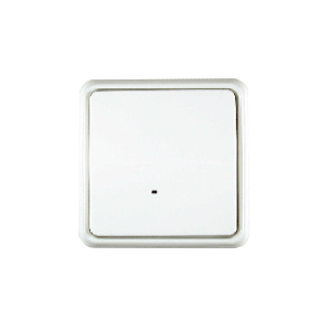 Interrupteur ON/OFF ZWave ACT