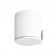 Détecteur de mouvement avec immunité animaux pour Home Alarm - MyFox